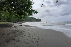 20140420_cahuita praia Negra et sunrise