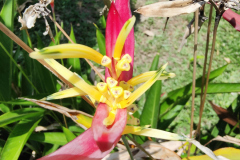 2024-05-05_bee garden