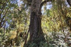 20240414_Cerro Vueltas