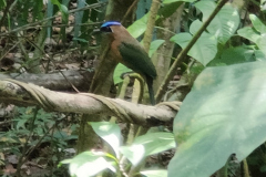 20240425_Quepos et MA
