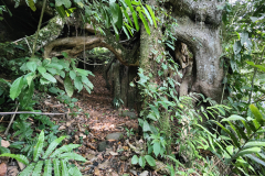 20240509_arbre porte 2