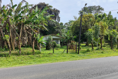 20240509_habitat sarapiqui
