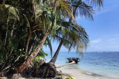 20240520_cahuita reserve