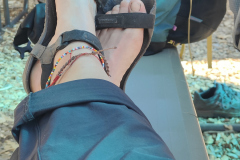 IMG20240718165330