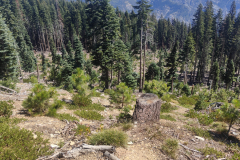 20240827_15_Day60_Mt-Shasta
