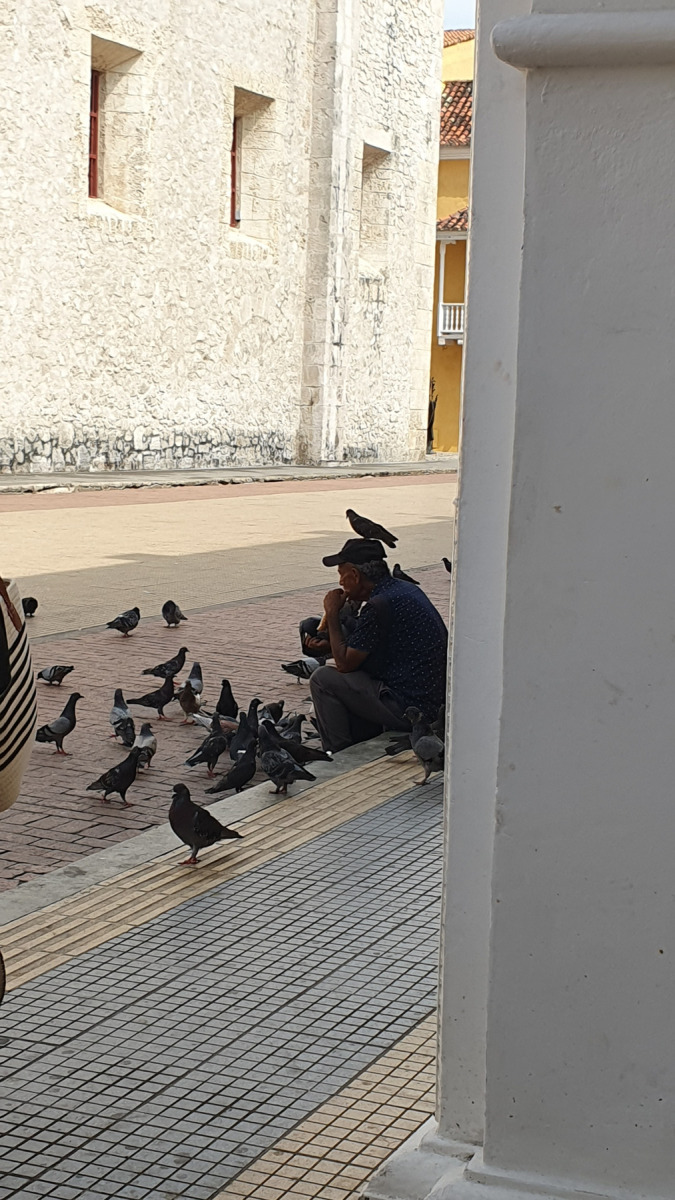 20250102_072_Cartagena