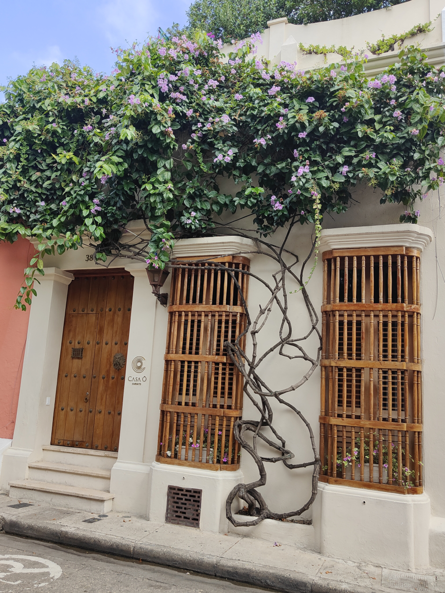 20250102_079_Cartagena
