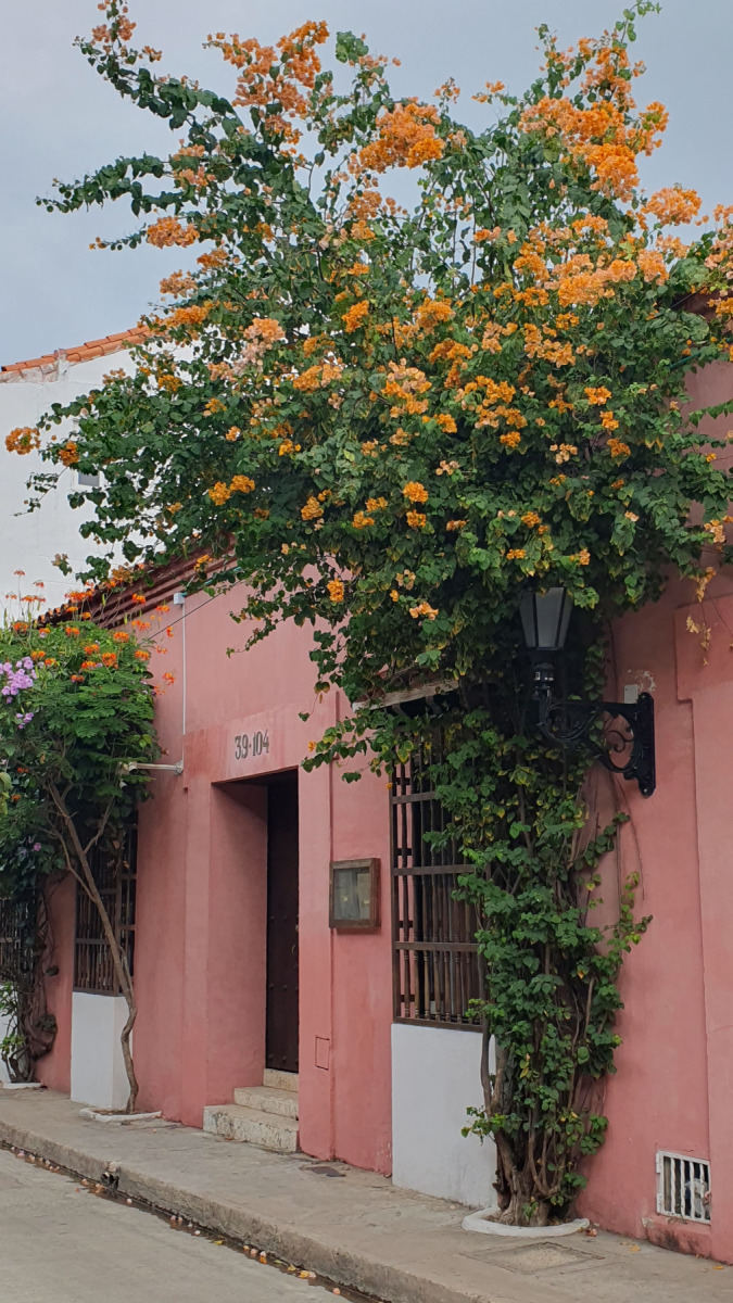 20250102_094_Cartagena