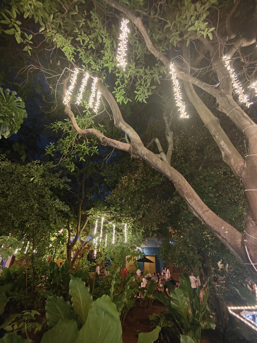 20250102_135_Cartagena