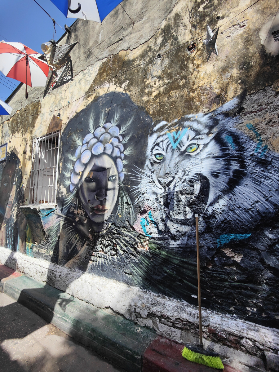 1_20250202_02_Cartagena