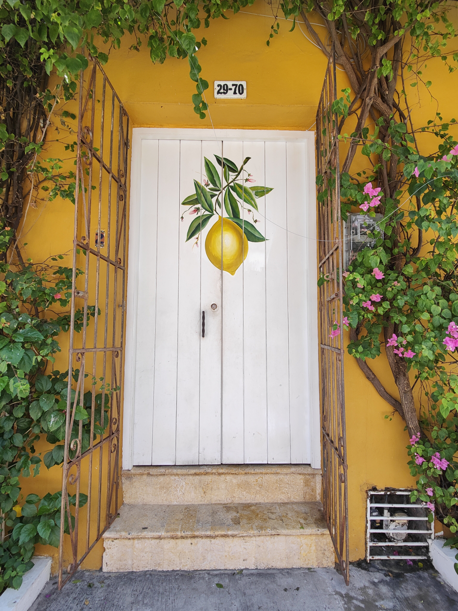 20250202_04_Cartagena