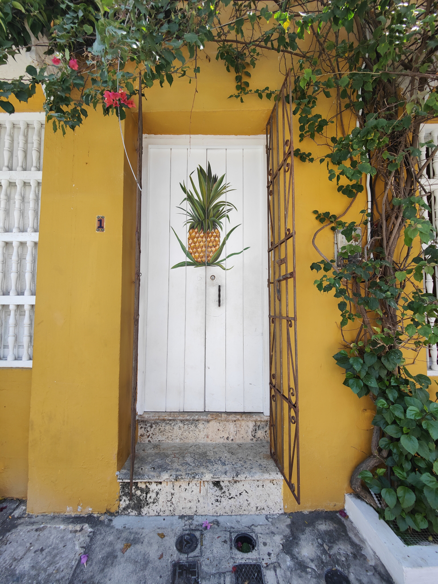 20250202_05_Cartagena