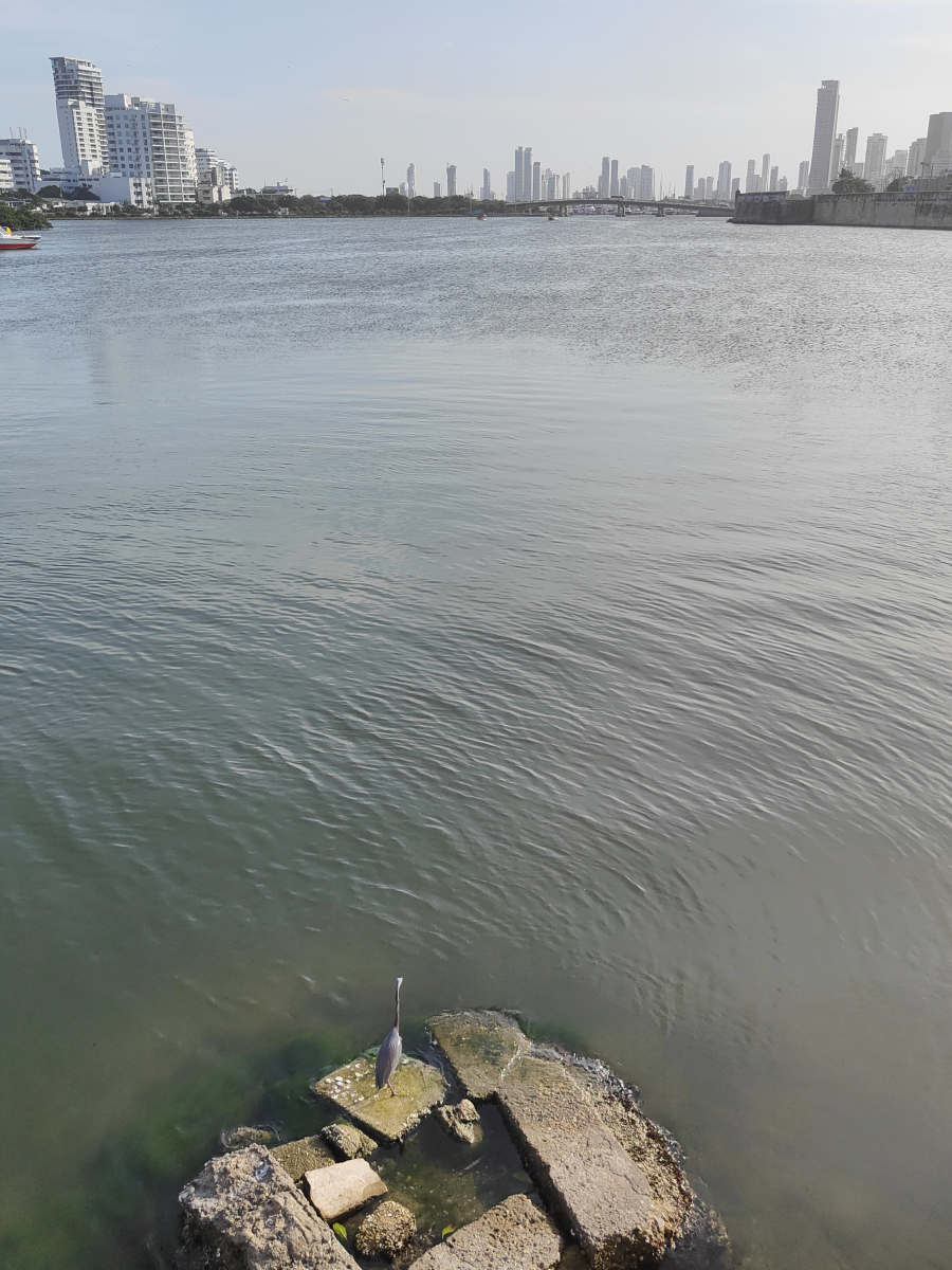 20250202_26_Cartagena