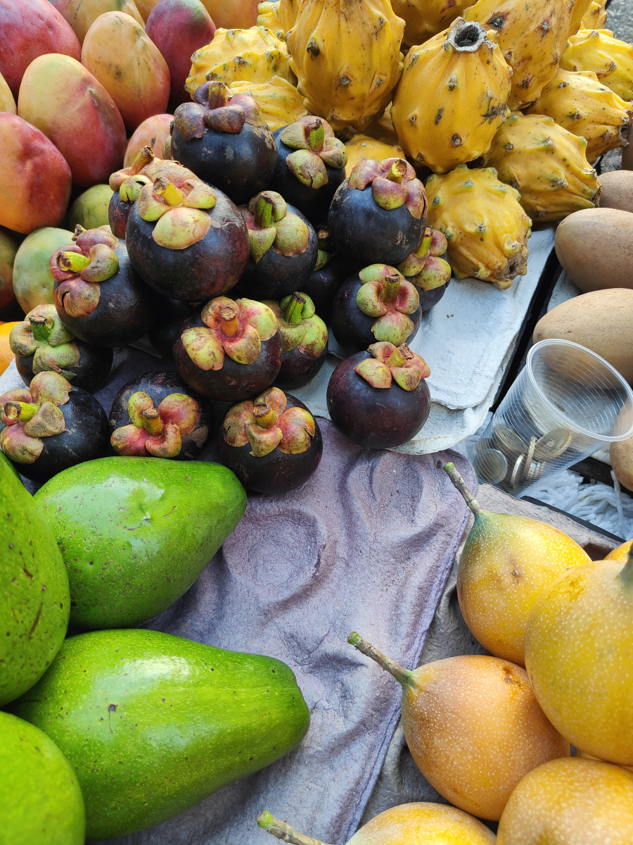 20250203_14_Cartagena