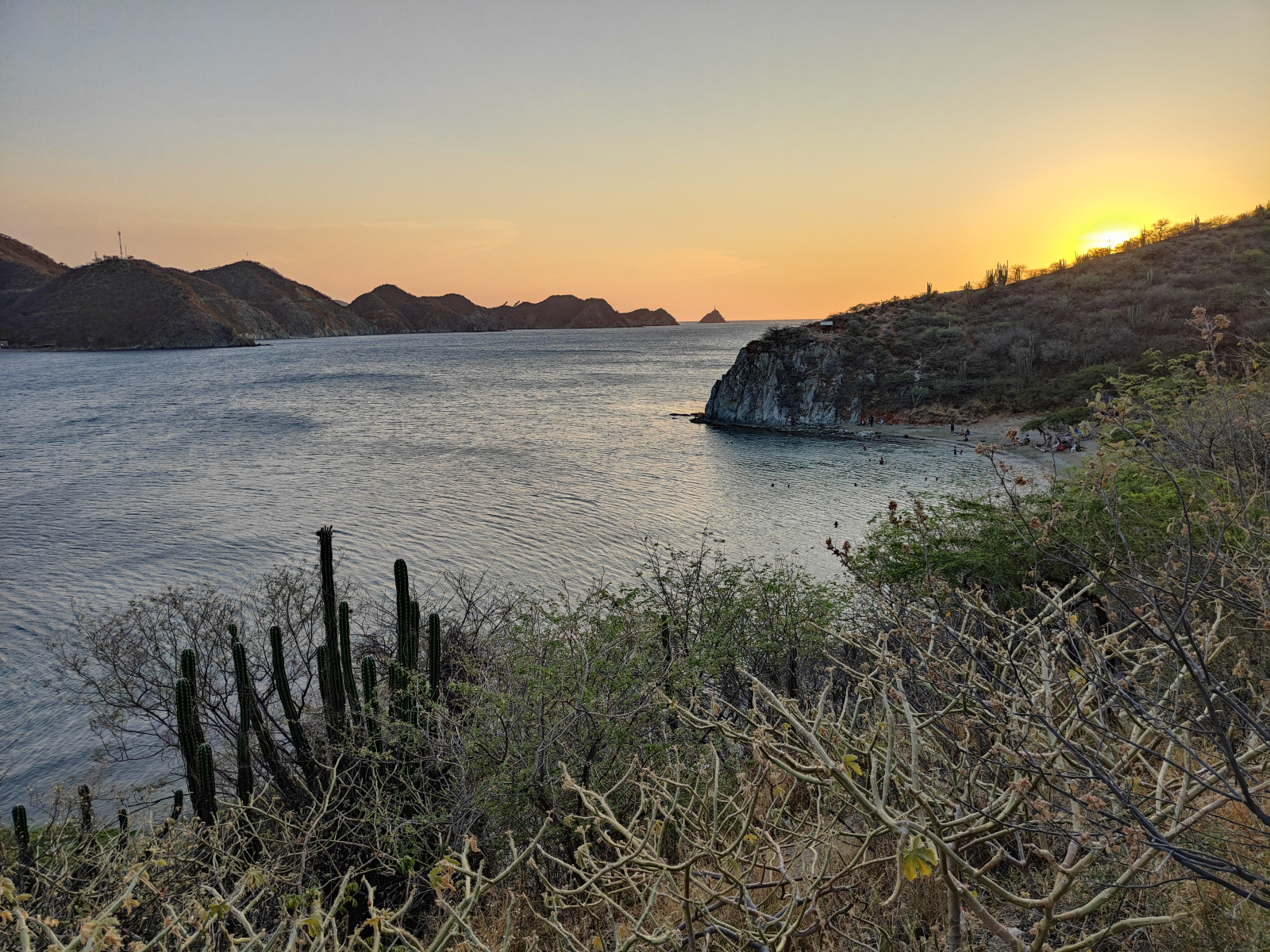 20250309_01_Taganga