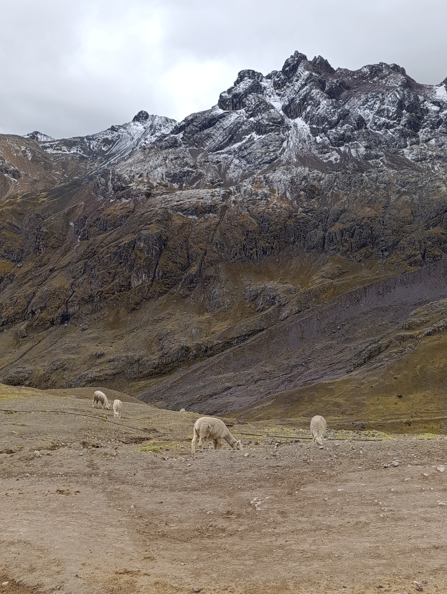 20250627_31_MontanaDeColores
