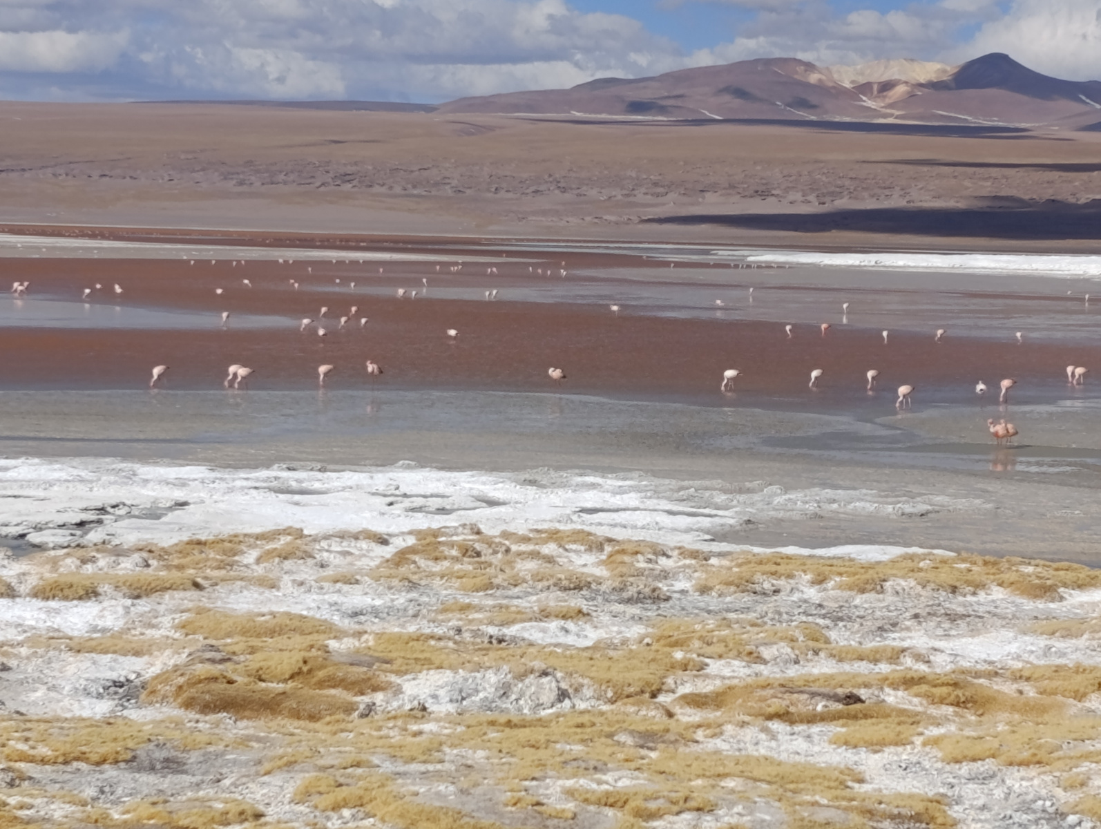 20250726_089_TourSurLipezUyuni_LagunaColorada_J2