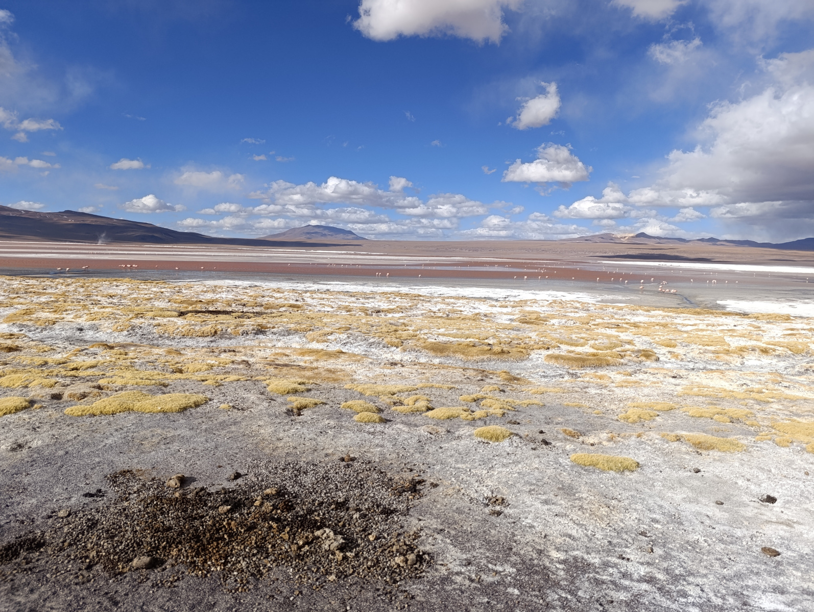 20250726_090_TourSurLipezUyuni_LagunaColorada_J2