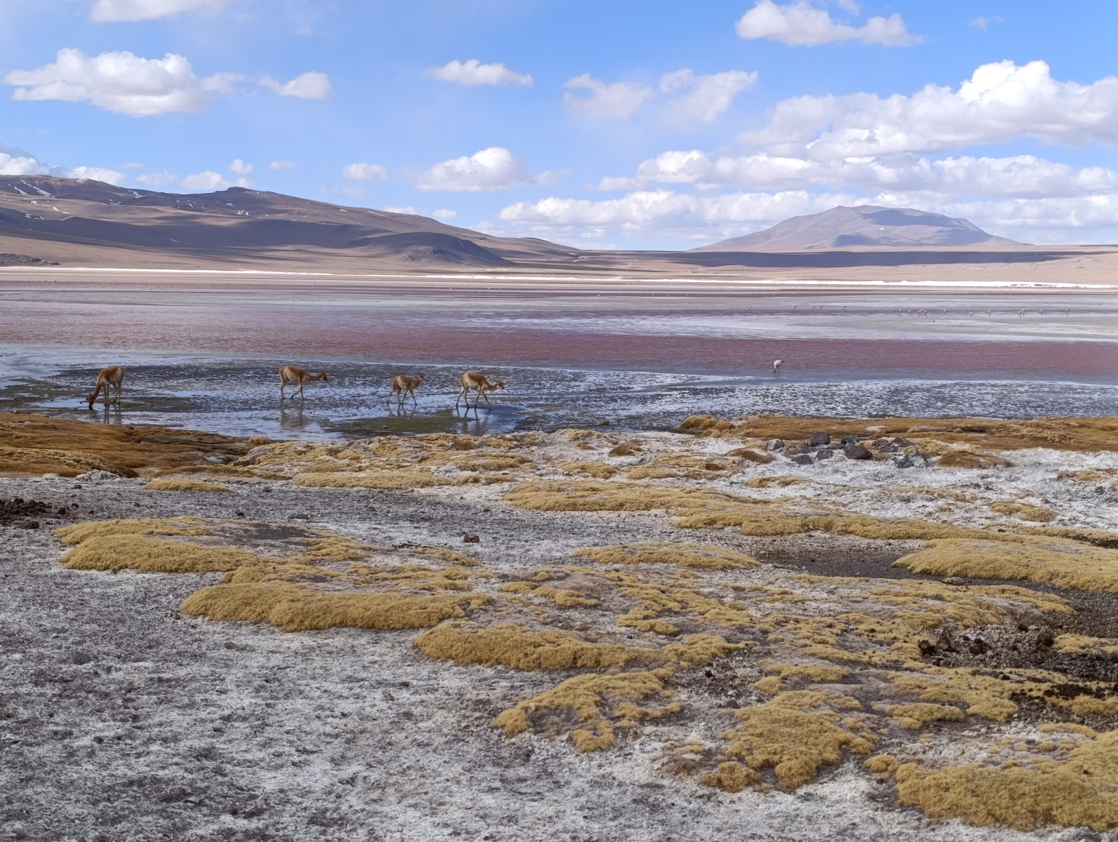 20250726_091_TourSurLipezUyuni_LagunaColorada_J2