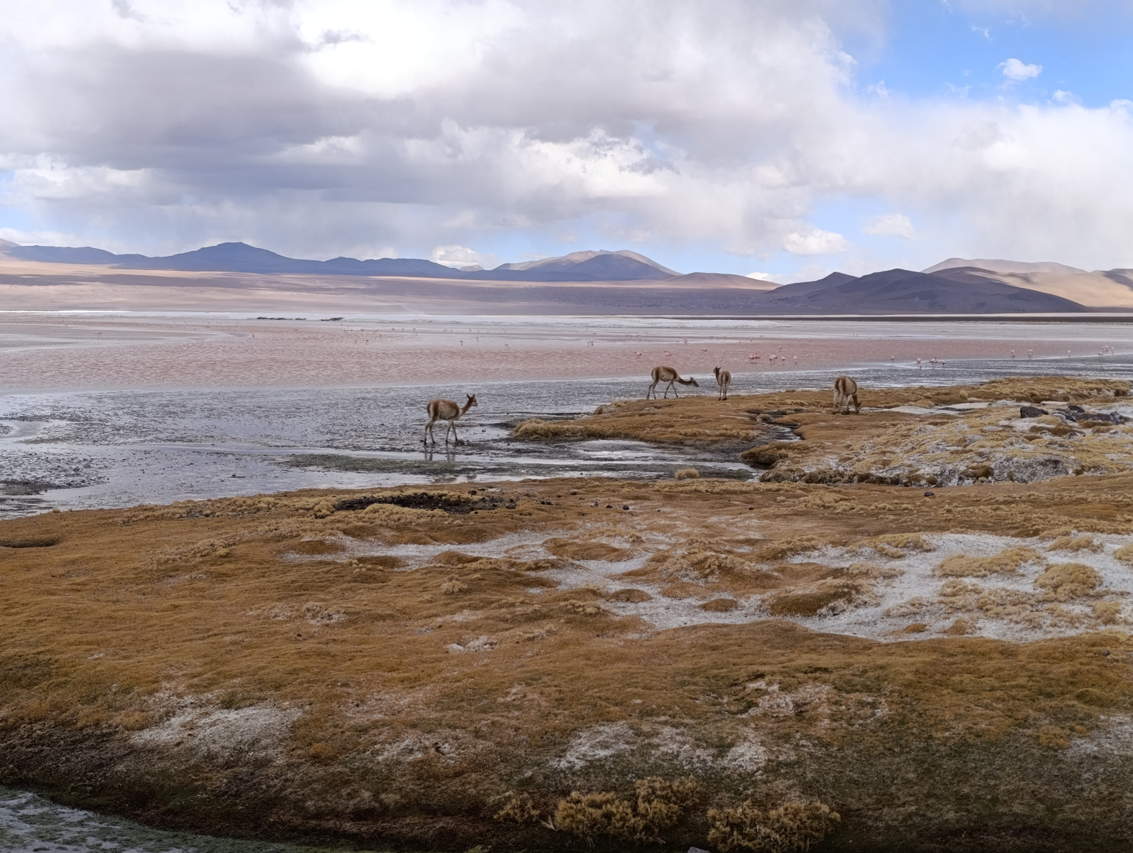 20250726_093_TourSurLipezUyuni_LagunaColorada_J2