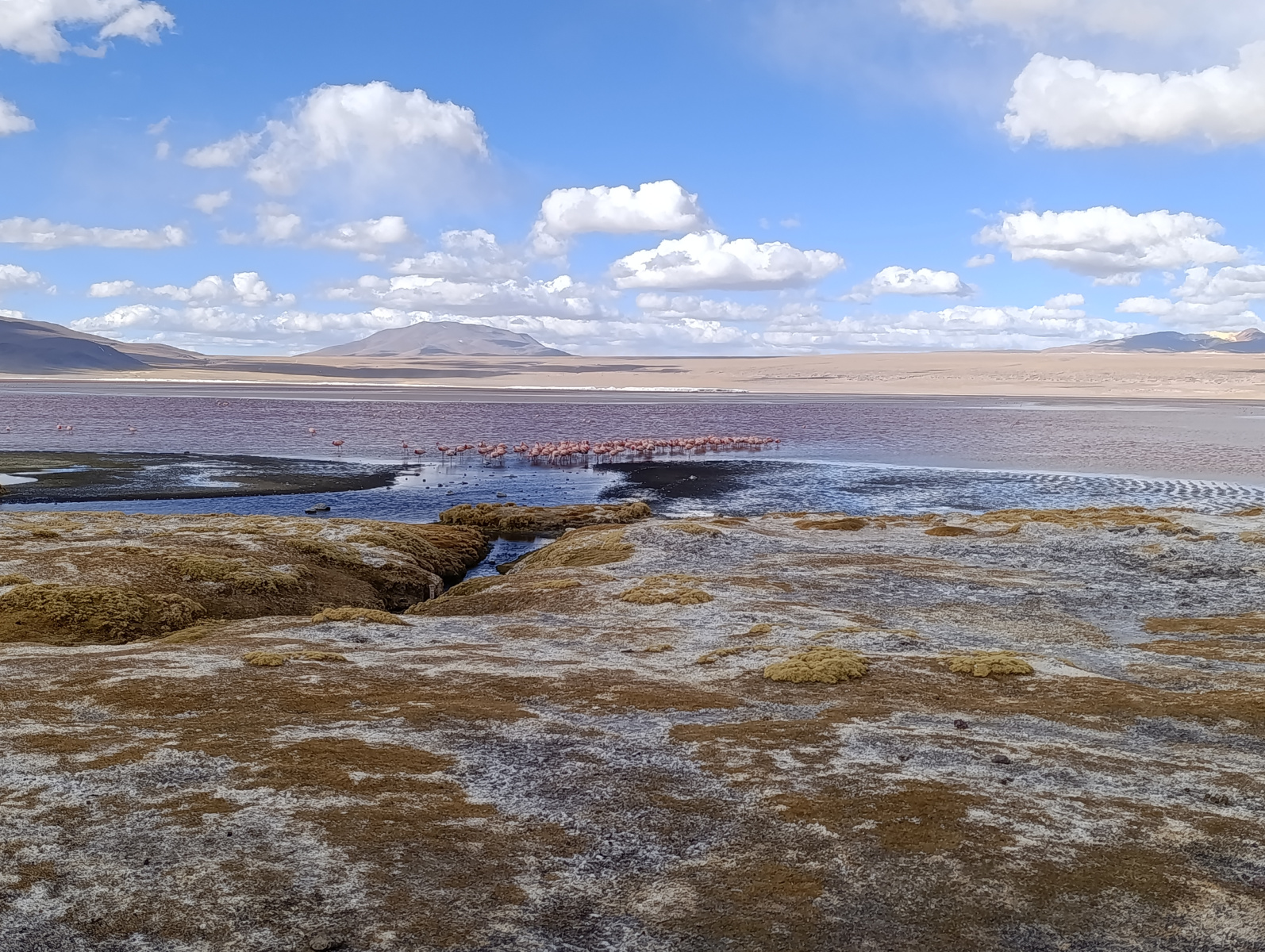 20250726_100_TourSurLipezUyuni_LagunaColorada_J2