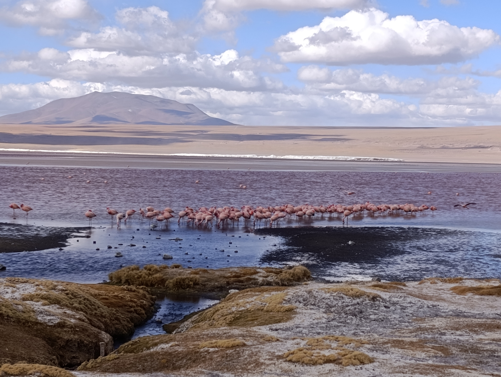 20250726_102_TourSurLipezUyuni_LagunaColorada_J2