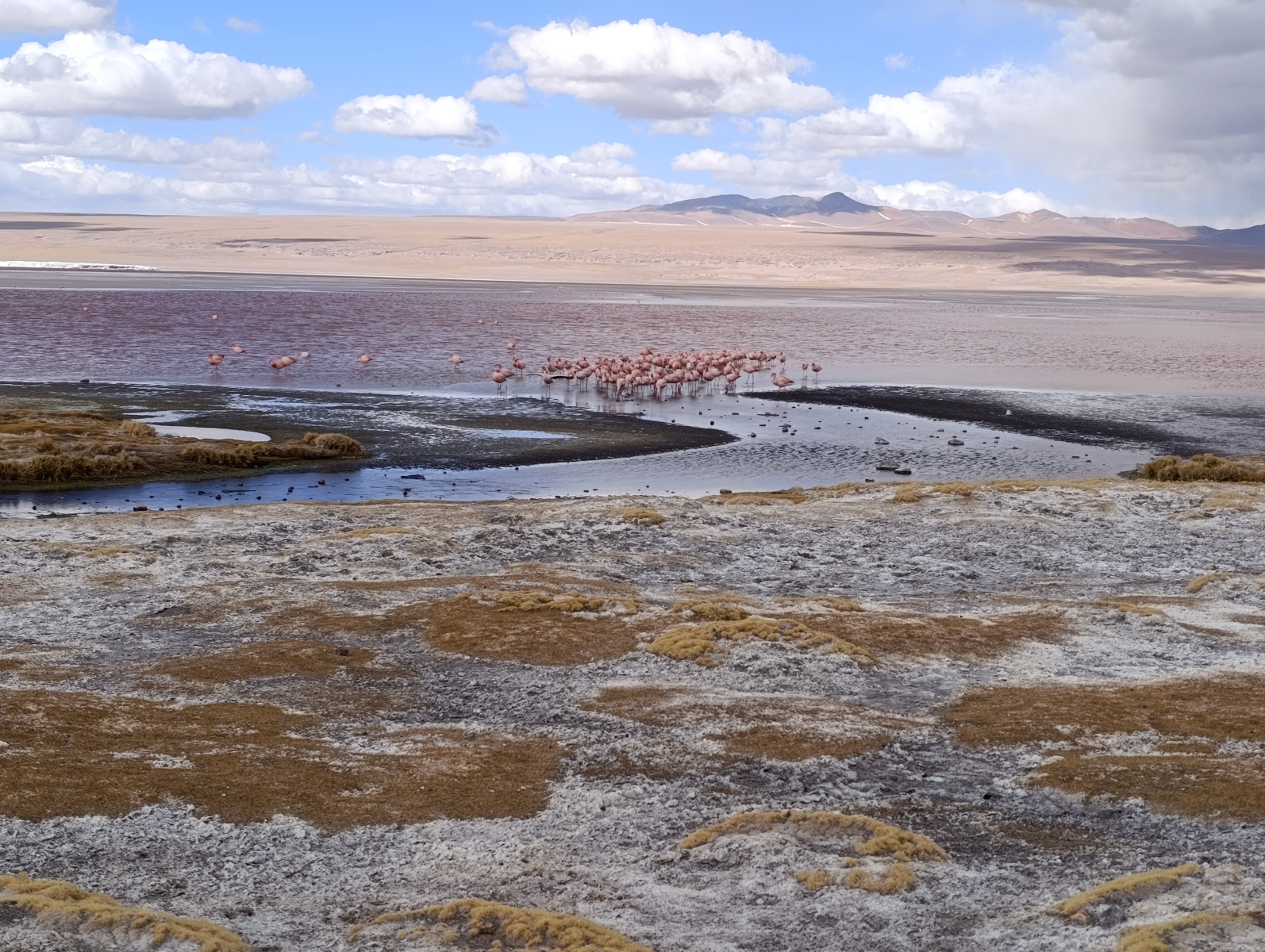 20250726_103_TourSurLipezUyuni_LagunaColorada_J2