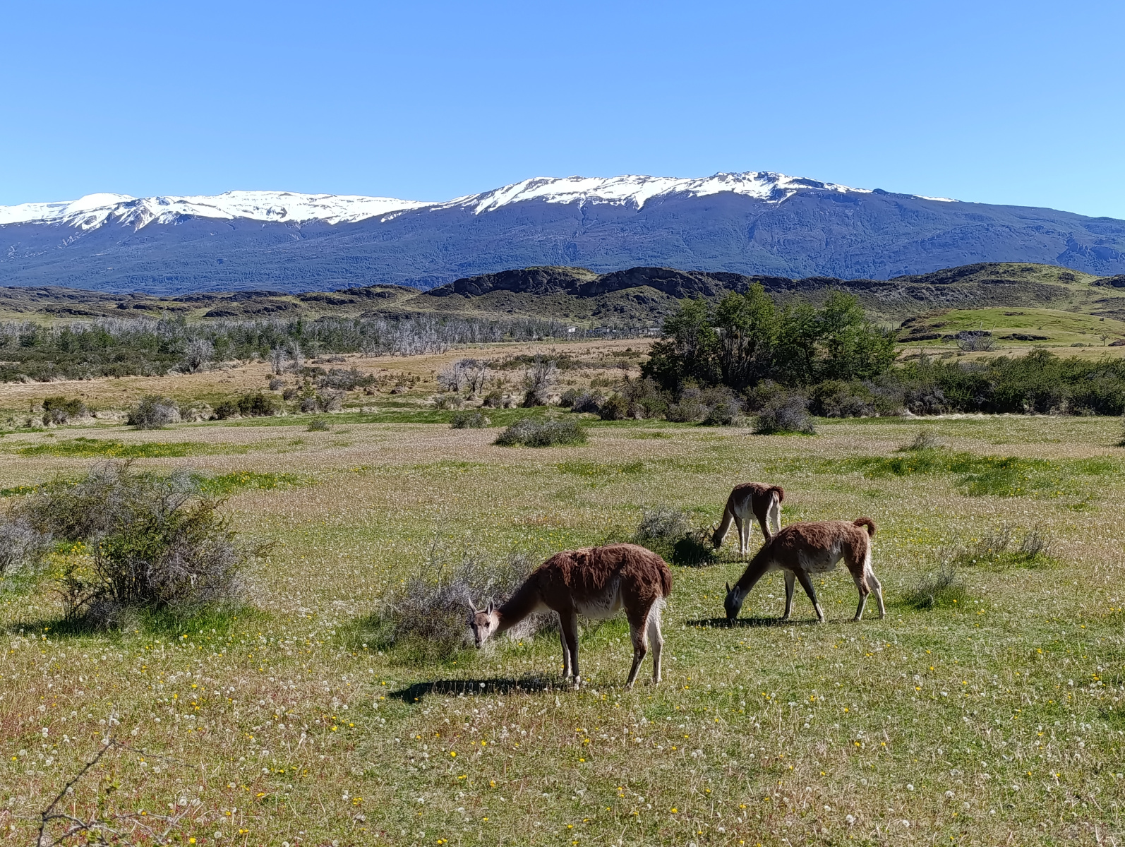 20251104_03_PN-Patagonia_LagunasAltas