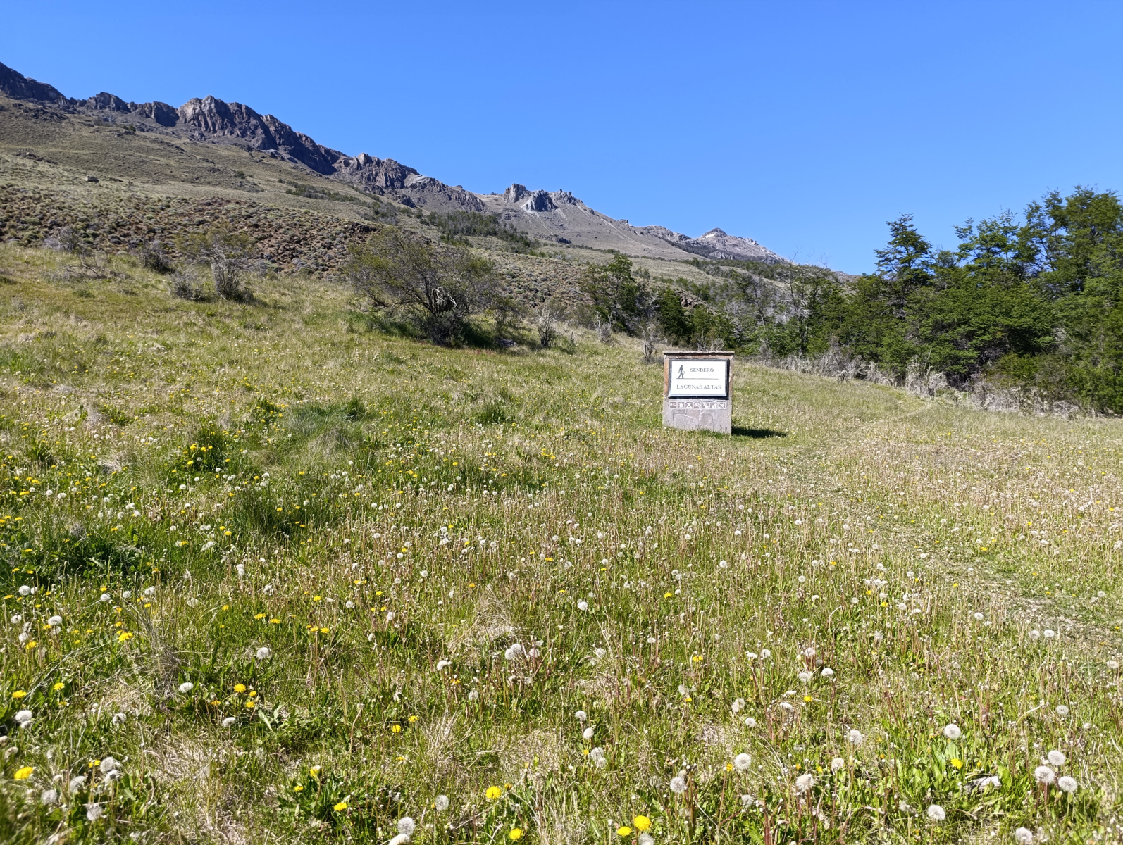 20251104_04_PN-Patagonia_LagunasAltas