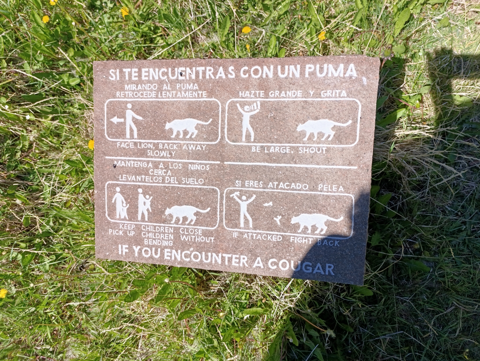 20251104_05_PN-Patagonia_LagunasAltas