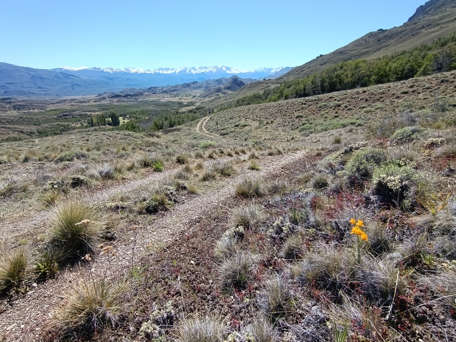 20251104_08_PN-Patagonia_LagunasAltas