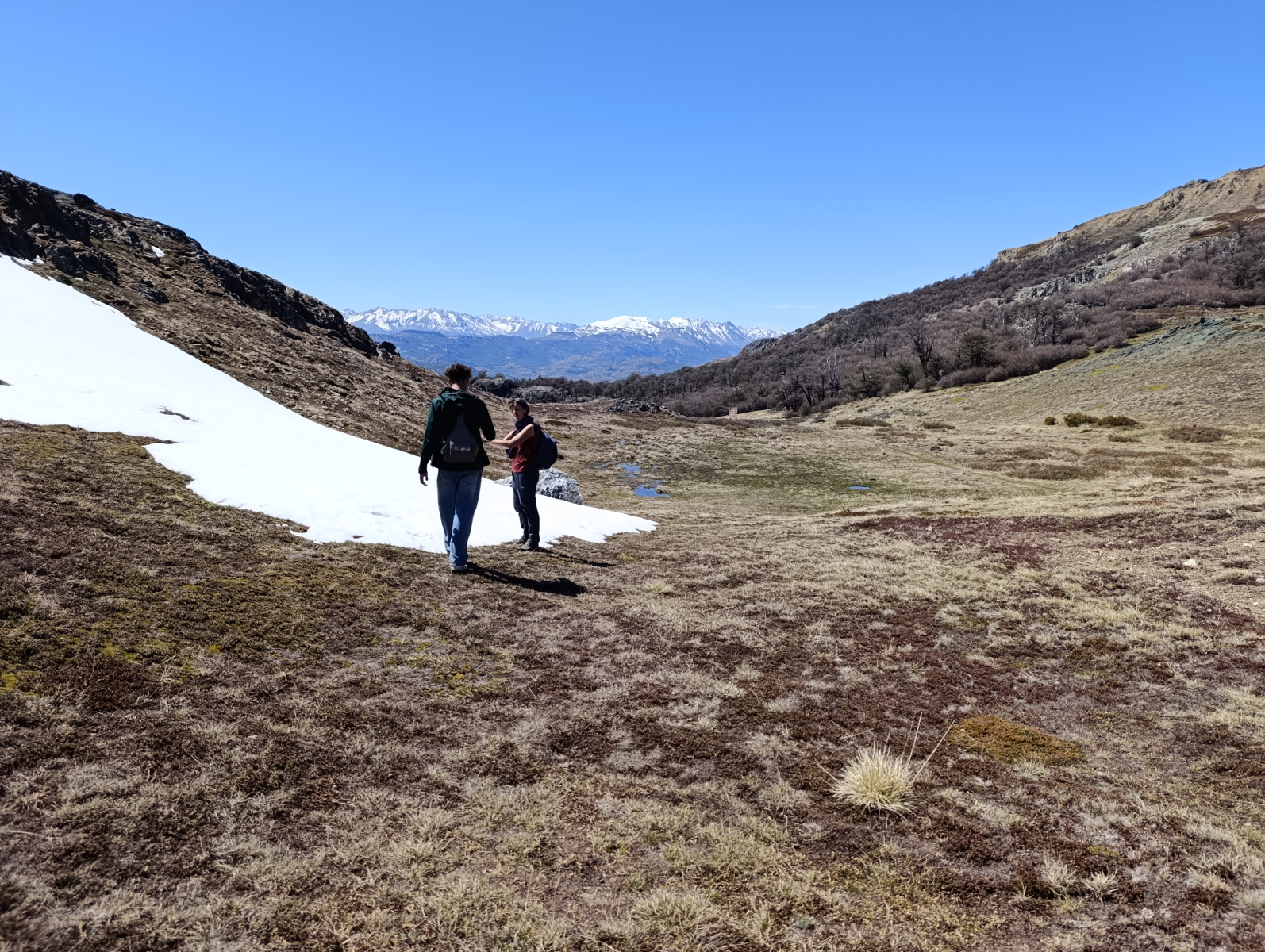 20251104_19_PN-Patagonia_LagunasAltas