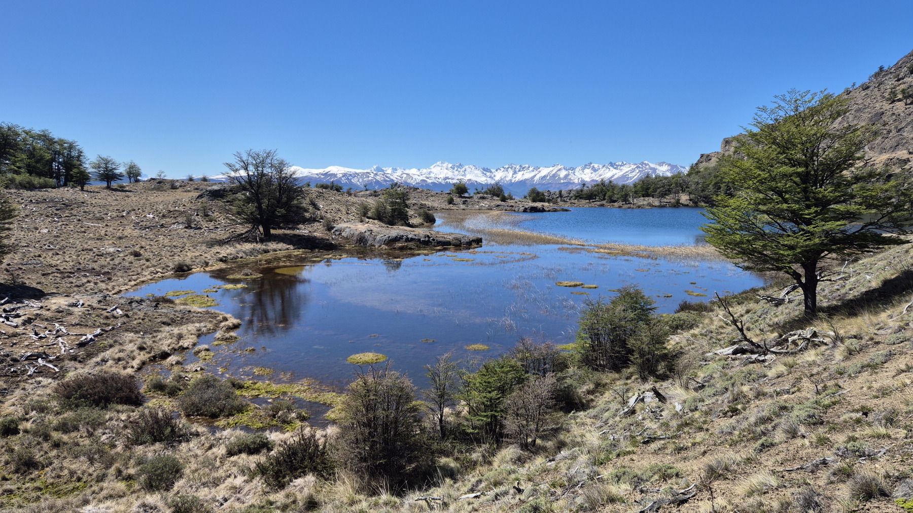 20251104_43_PN-Patagonia_LagunasAltas