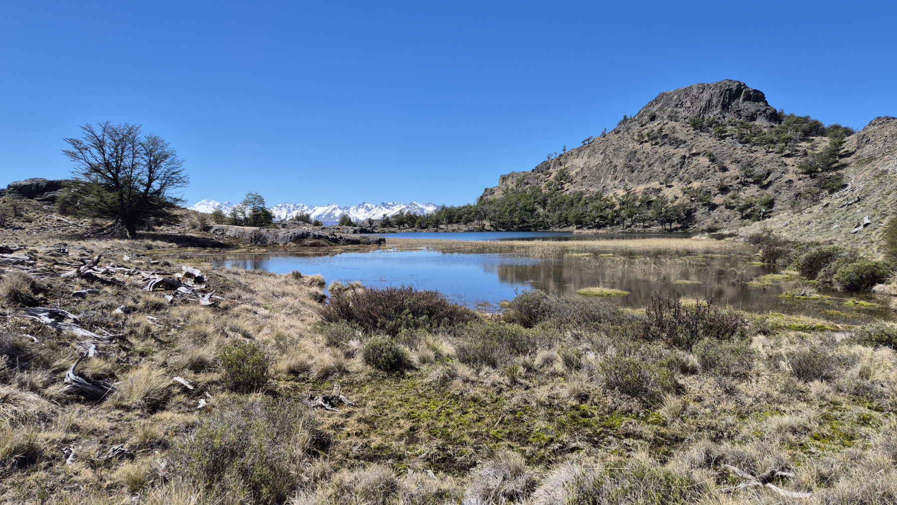 20251104_46_PN-Patagonia_LagunasAltas