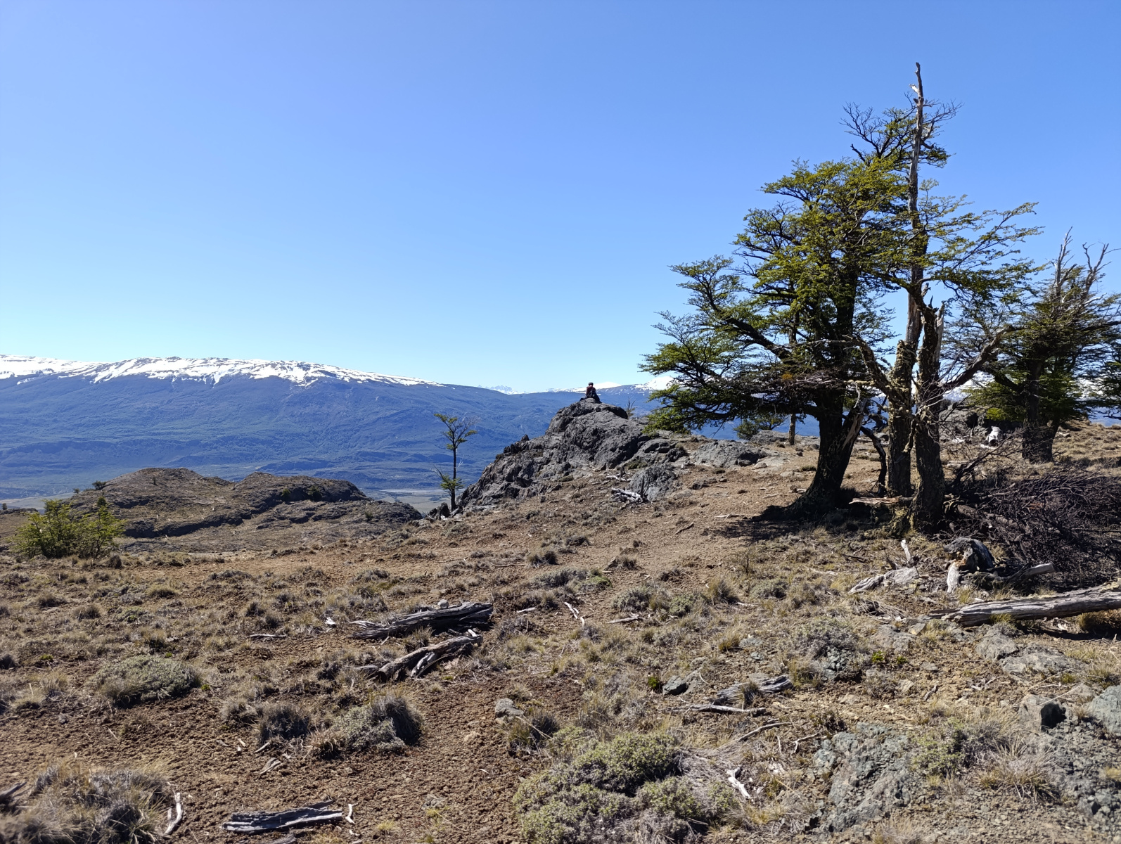 20251104_50_PN-Patagonia_LagunasAltas