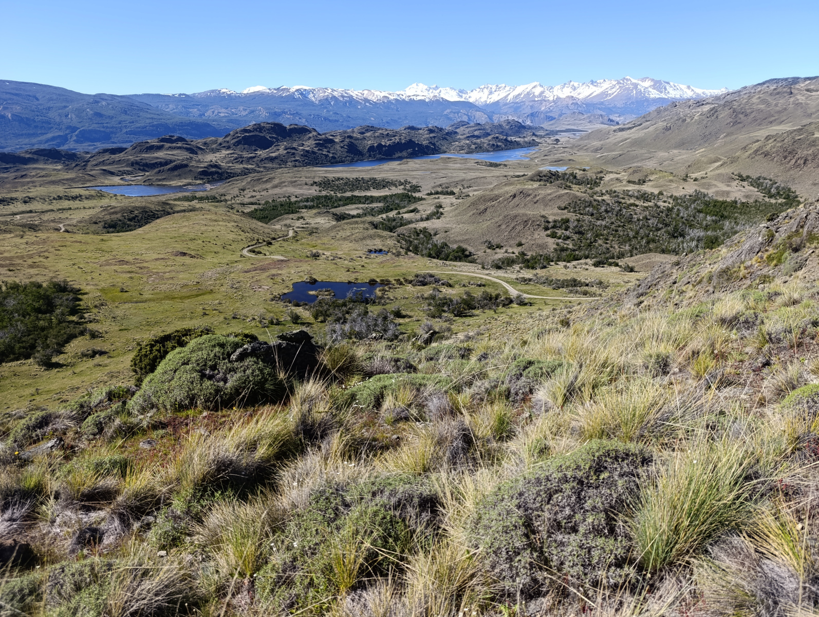 20251104_74_PN-Patagonia_LagunasAltas