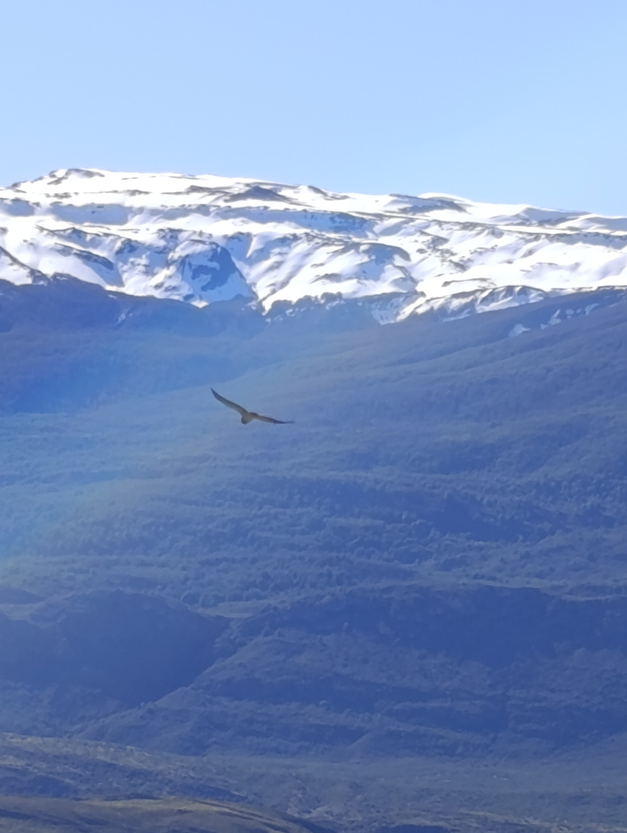 20251104_78_PN-Patagonia_LagunasAltas