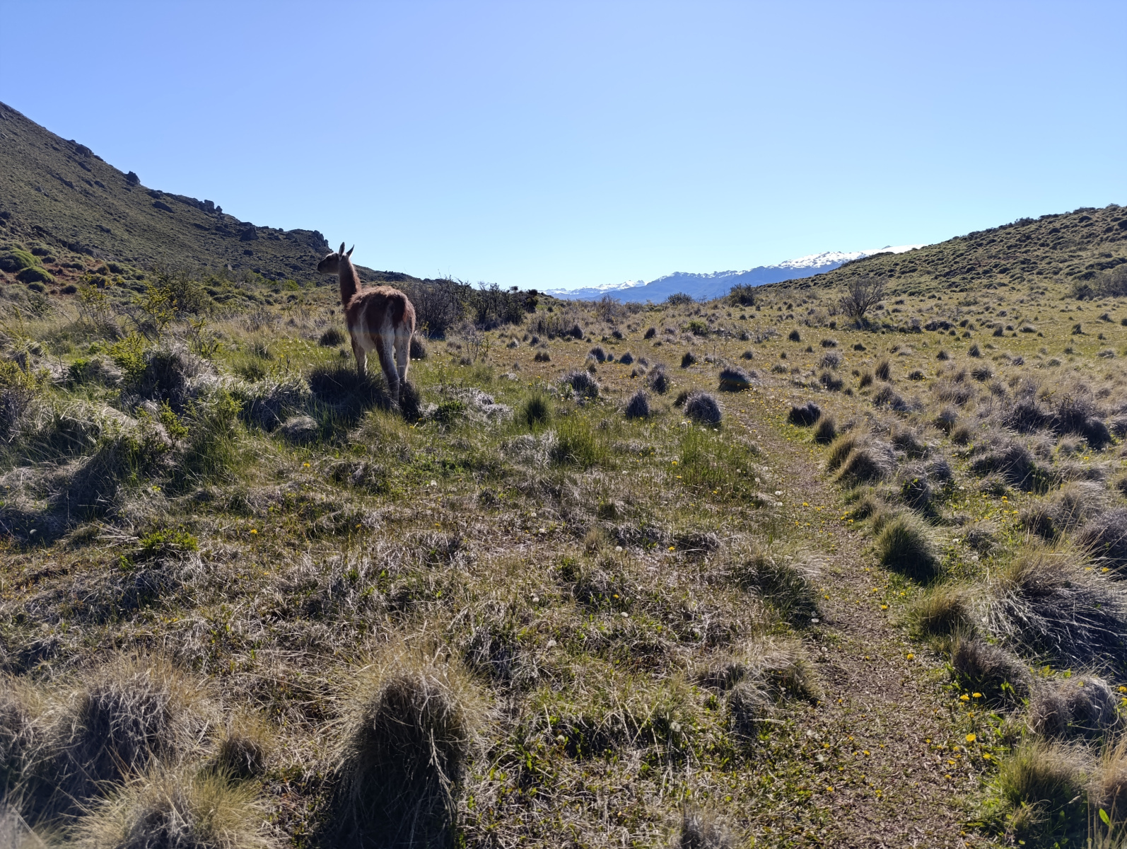 20251104_79_PN-Patagonia_LagunasAltas