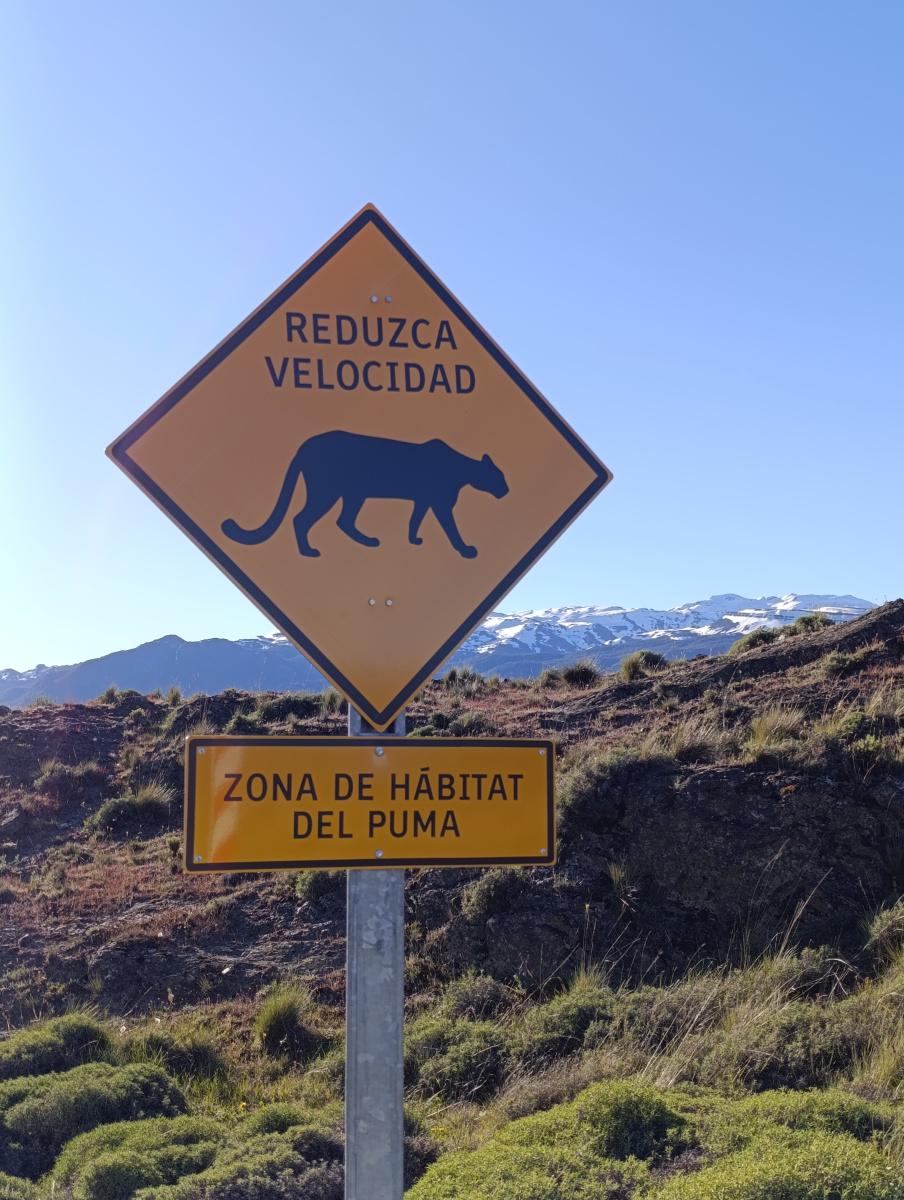 20251104_86_PN-Patagonia_LagunasAltas