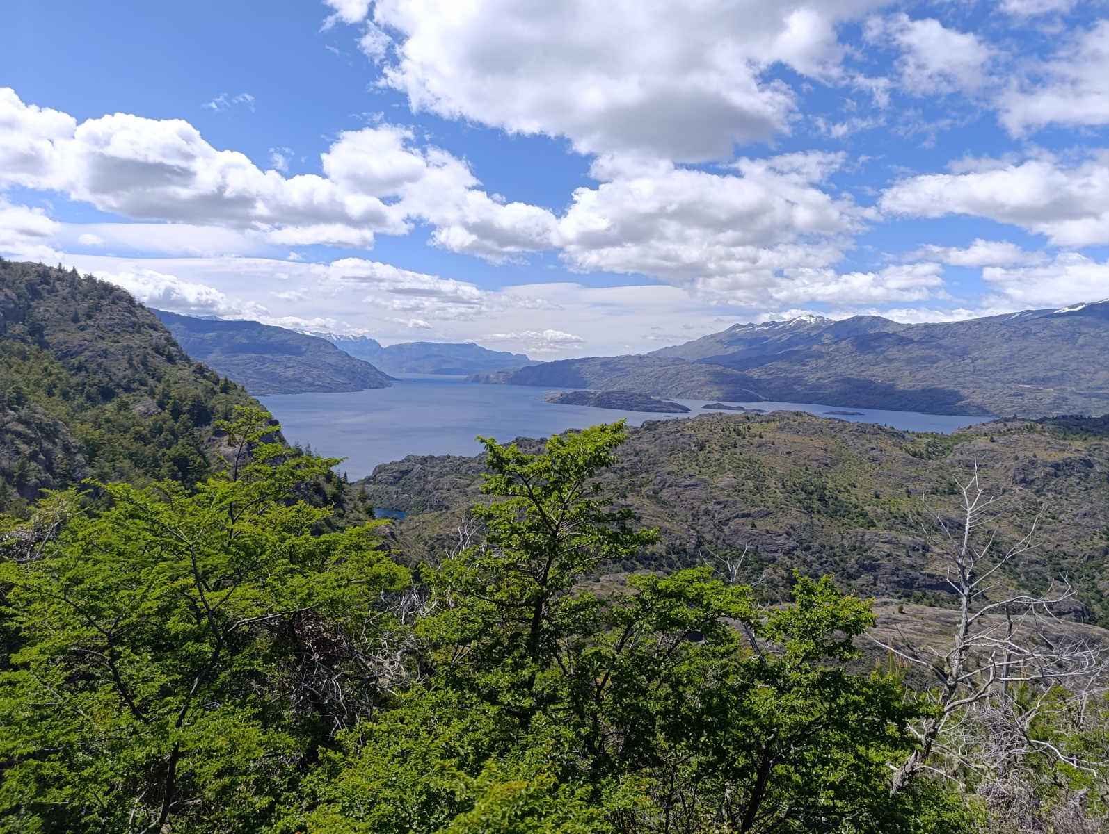 20251112_05_Cochrane_PN-Patagonia