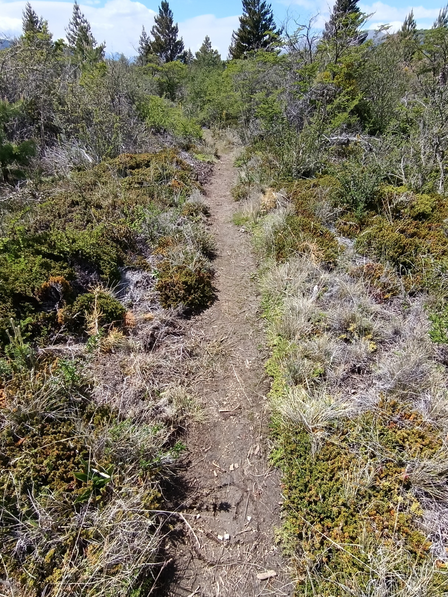 20251112_08_Cochrane_PN-Patagonia