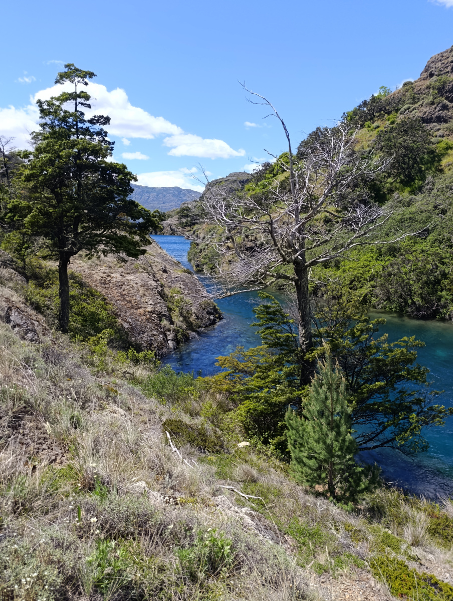 20251112_14_Cochrane_PN-Patagonia