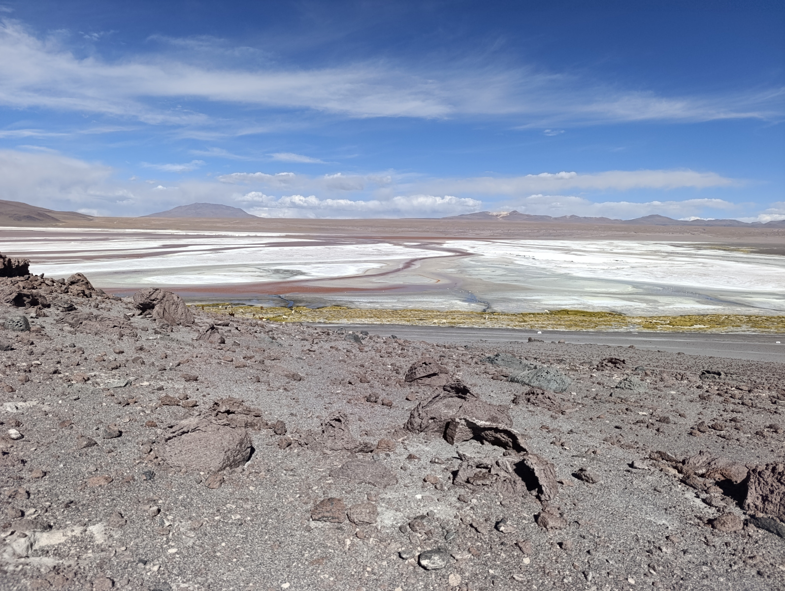 20260102_089_Salar-Uyuni-J1_Laguna-Colorada