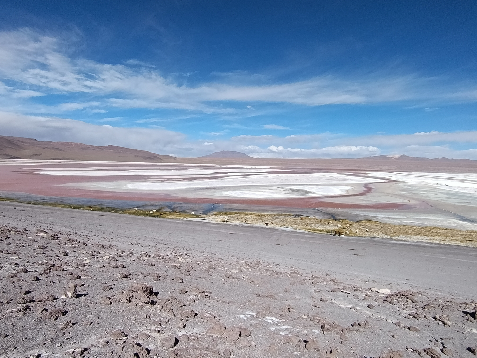 20260102_090_Salar-Uyuni-J1_Laguna-Colorada