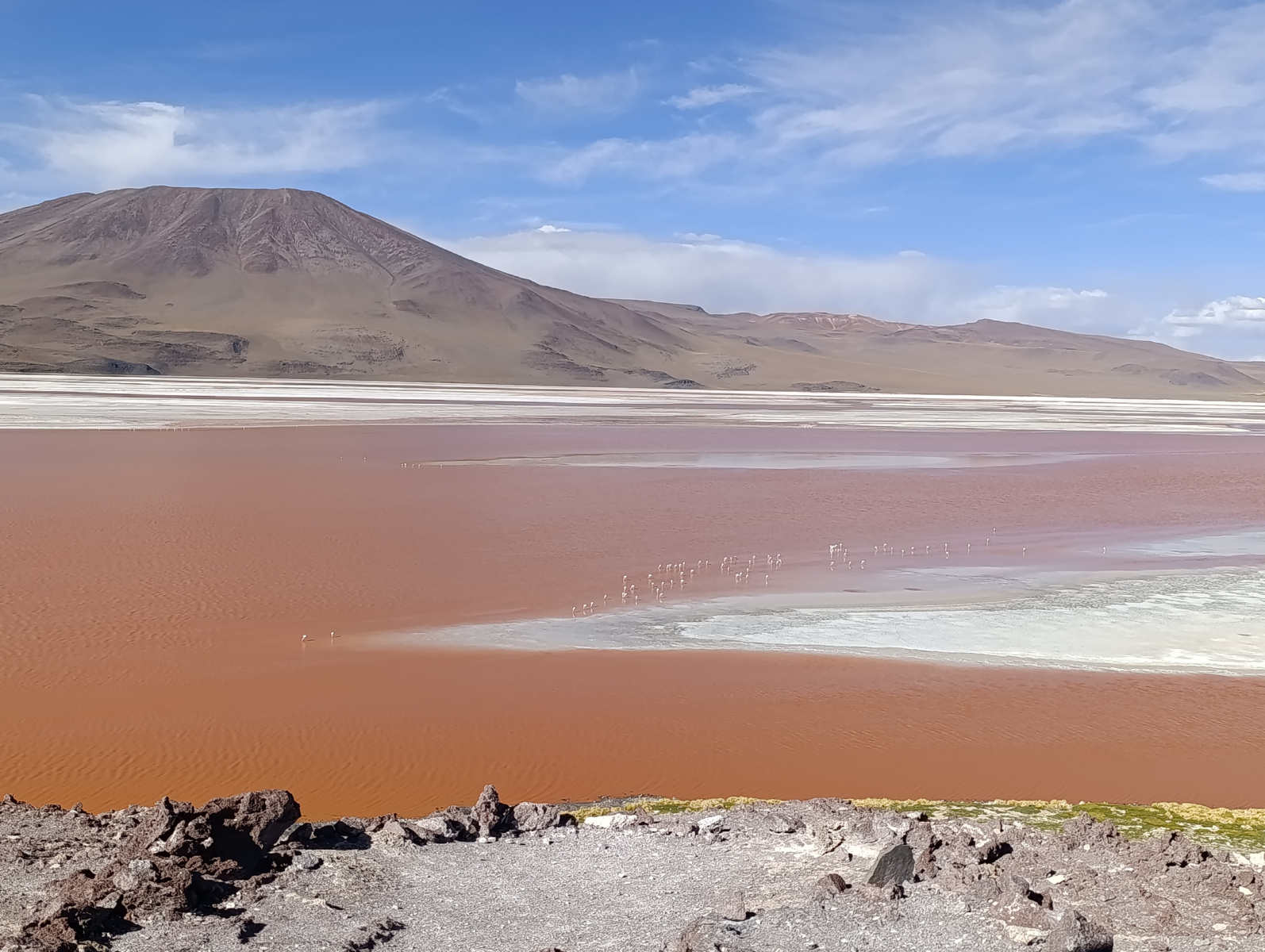 20260102_096_Salar-Uyuni-J1_Laguna-Colorada