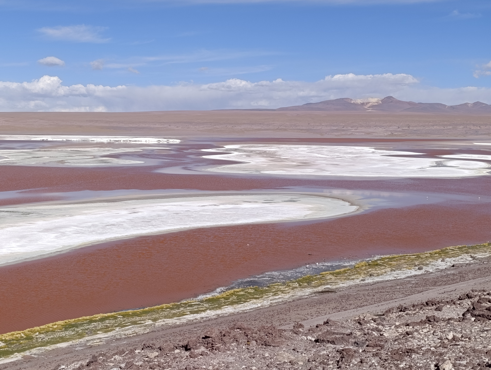 20260102_097_Salar-Uyuni-J1_Laguna-Colorada