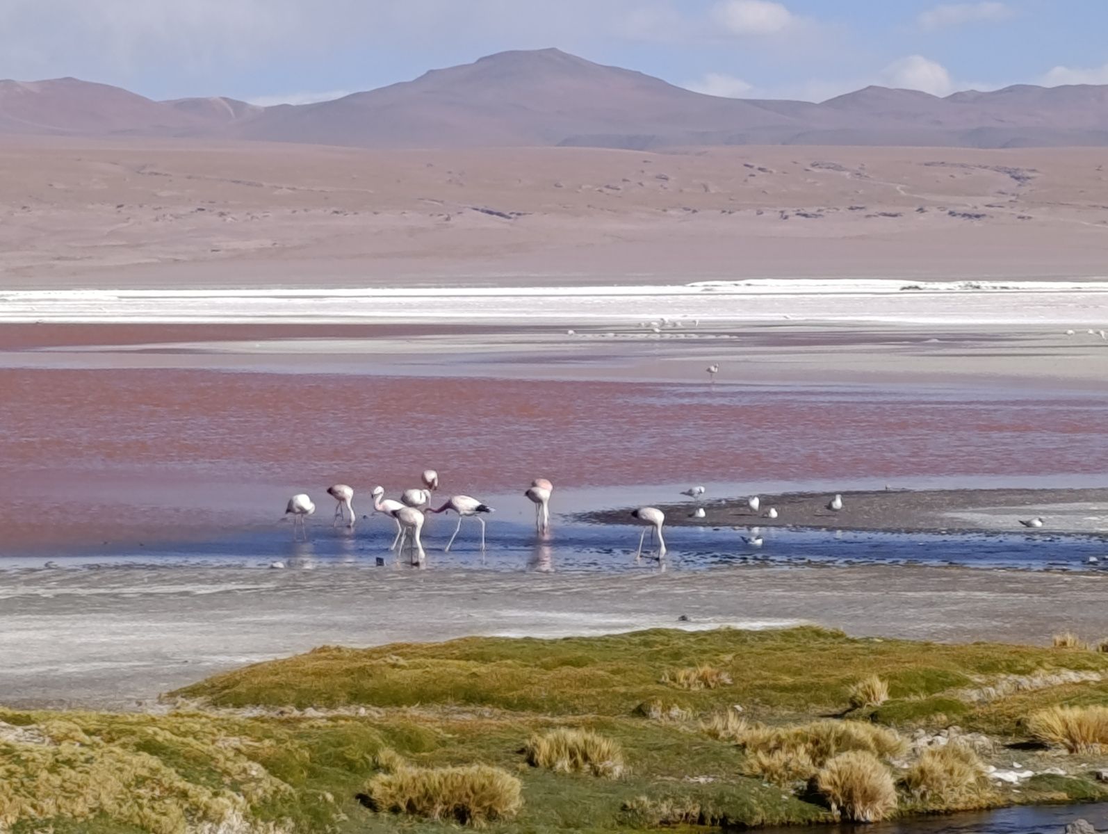 20260102_103_Salar-Uyuni-J1_Laguna-Colorada