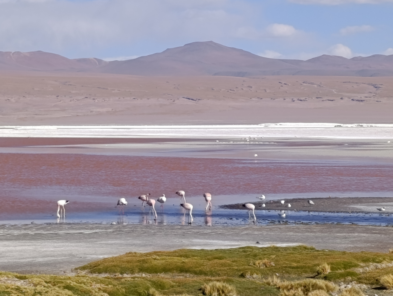 20260102_104_Salar-Uyuni-J1_Laguna-Colorada