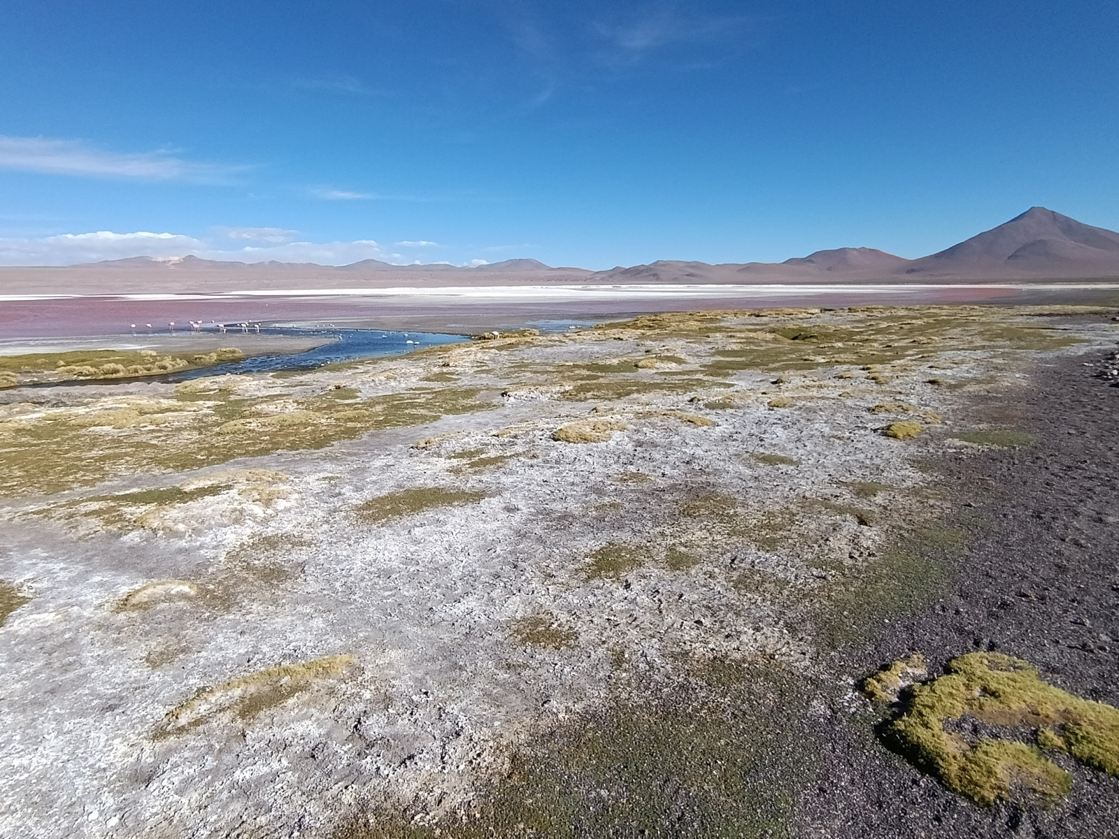 20260102_107_Salar-Uyuni-J1_Laguna-Colorada