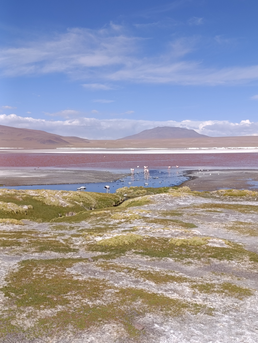 20260102_110_Salar-Uyuni-J1_Laguna-Colorada